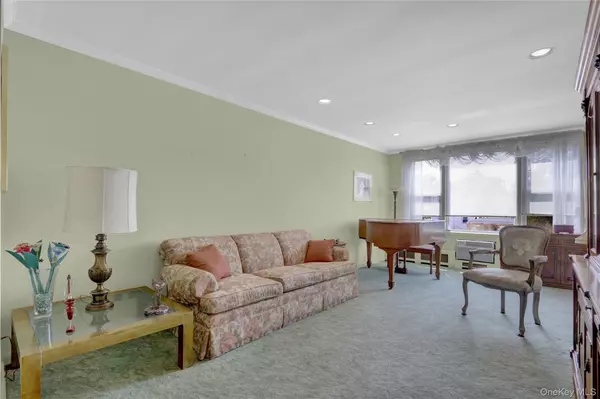 Rockville Centre, NY 11570,120 Morris AVE #B17