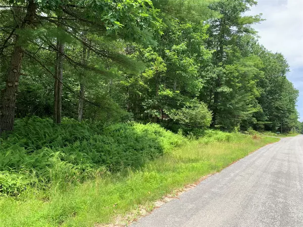 Lot 6 Francis DR, Narrowsburg, NY 12764