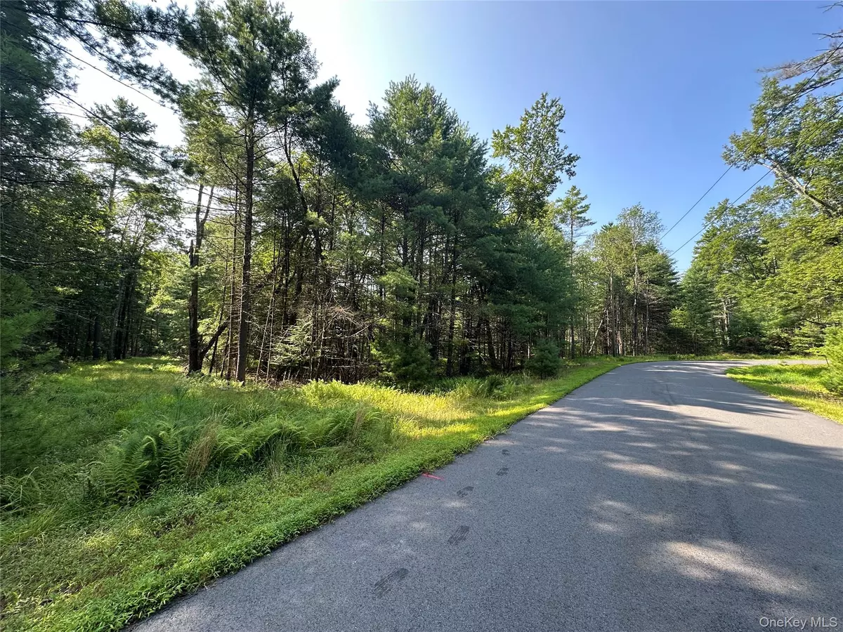 Barryville, NY 12719,Lot 46 Summit DR