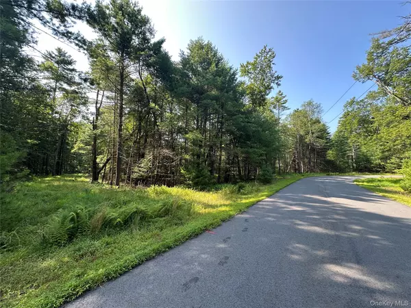 Lot 46 Summit DR, Barryville, NY 12719