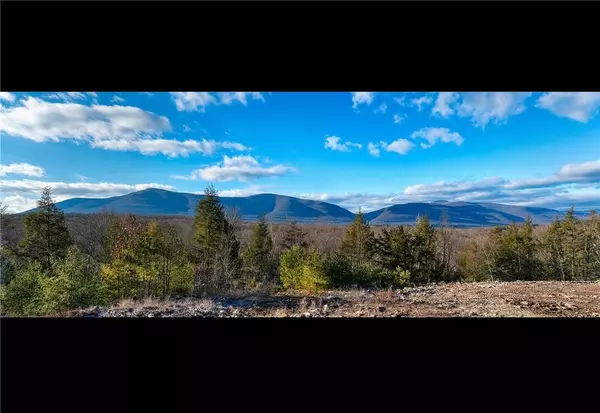Saugerties, NY 12477,0 Lot Fish Creek