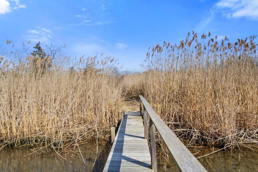 Brookhaven, NY 11719,252 Beaver Dam RD