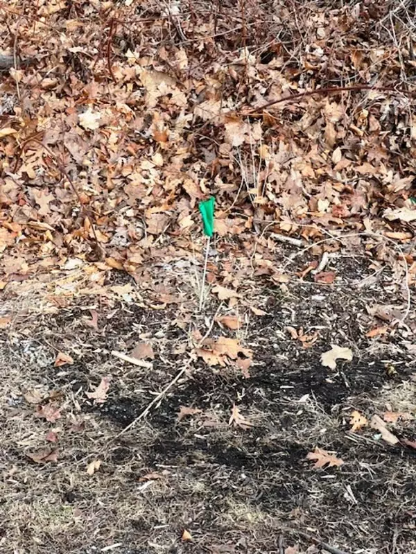 Cortlandt Manor, NY 10567,Lot 7 Mountainside TRL