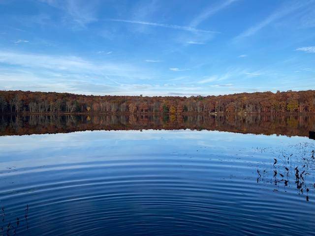 Lot 6 Briarwood TRL, Call Listing Agent, PA 18405