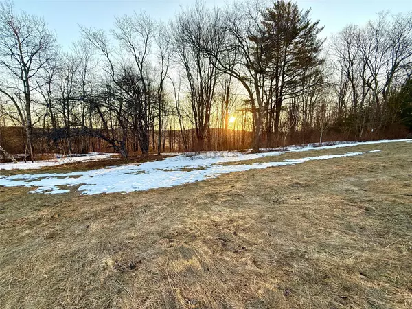 Call Listing Agent, NY 13775,2182 Snake Hill RD