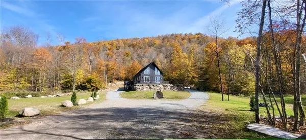 1211 Gulf RD, Livingston Manor, NY 12724