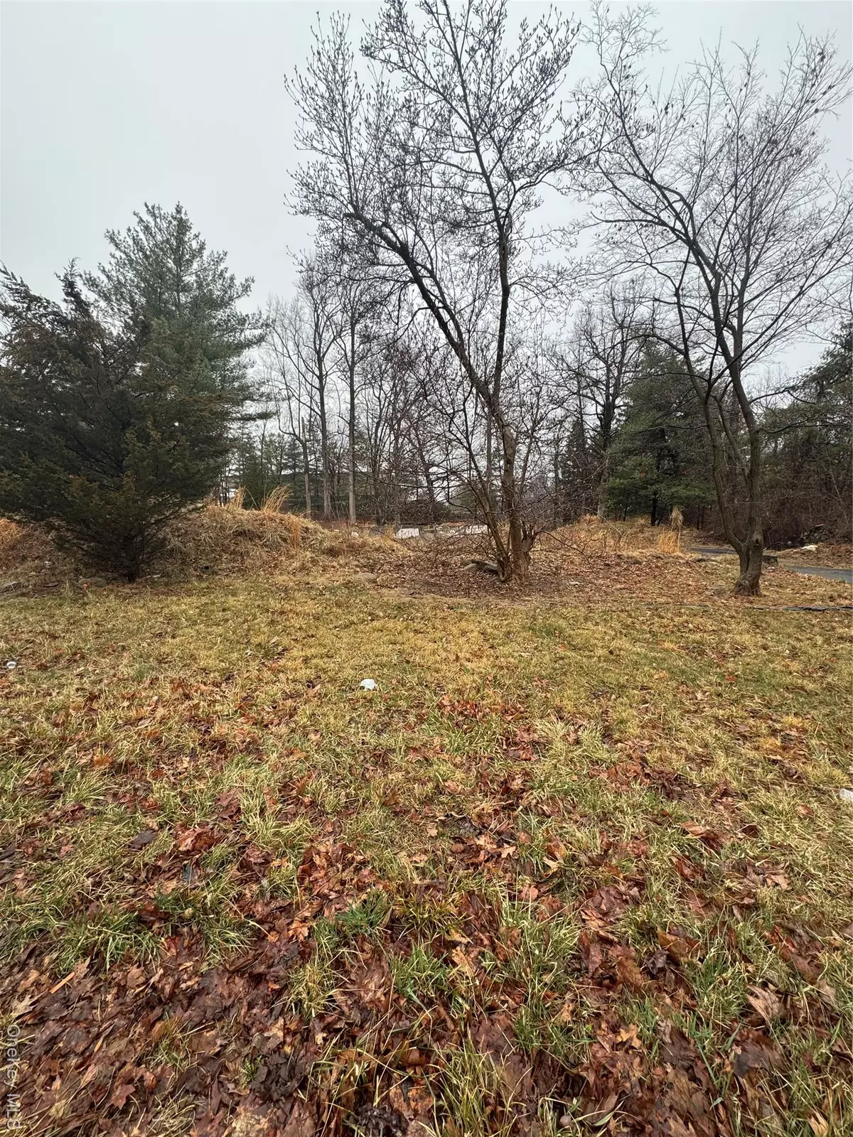 Chestnut Ridge, NY 10977,28 Williams RD