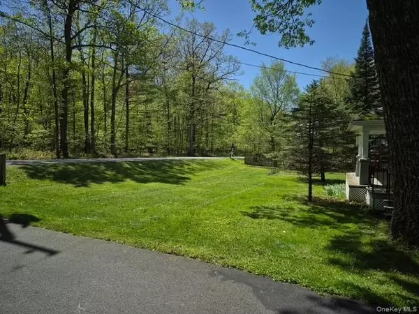 Narrowsburg, NY 12764,191 Gables RD