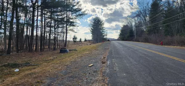 Kiamesha Lake, NY 12751,42 Concord RD