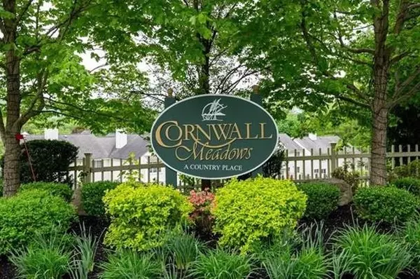 217 Cornwall Meadows LN, Patterson, NY 12563