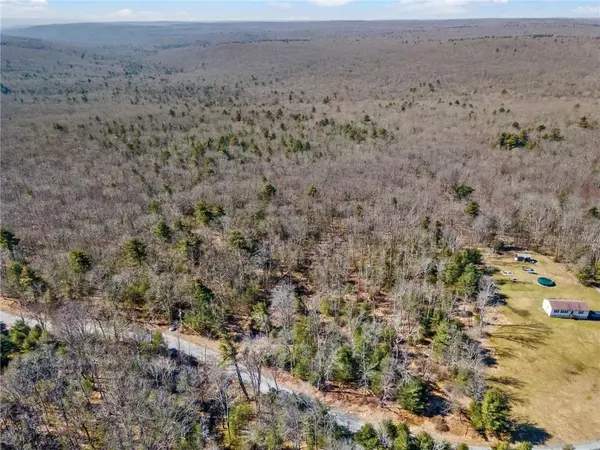 Wurtsboro, NY 12790,Pine Kill RD