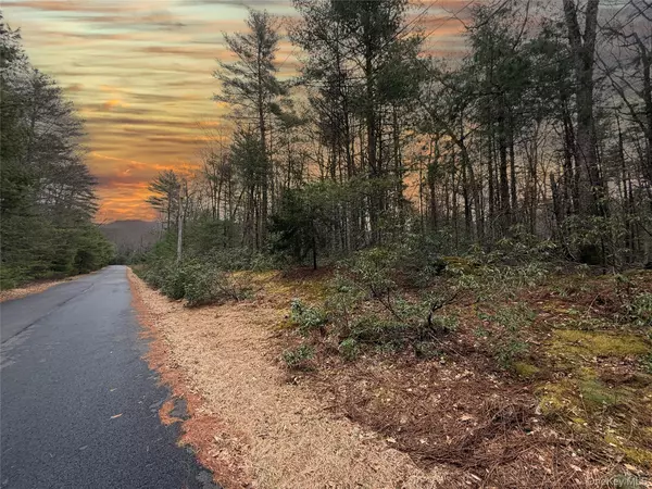 Barryville, NY 12792,Summit DR