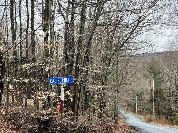 Warwick, NY 10990,41 California RD