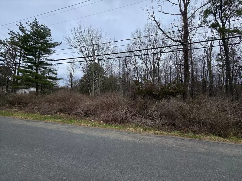 Fire Tower Rd, Bloomingburg, NY 12721