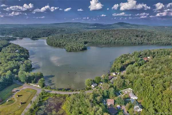 Swan Lake, NY 12783,39 Birch LN