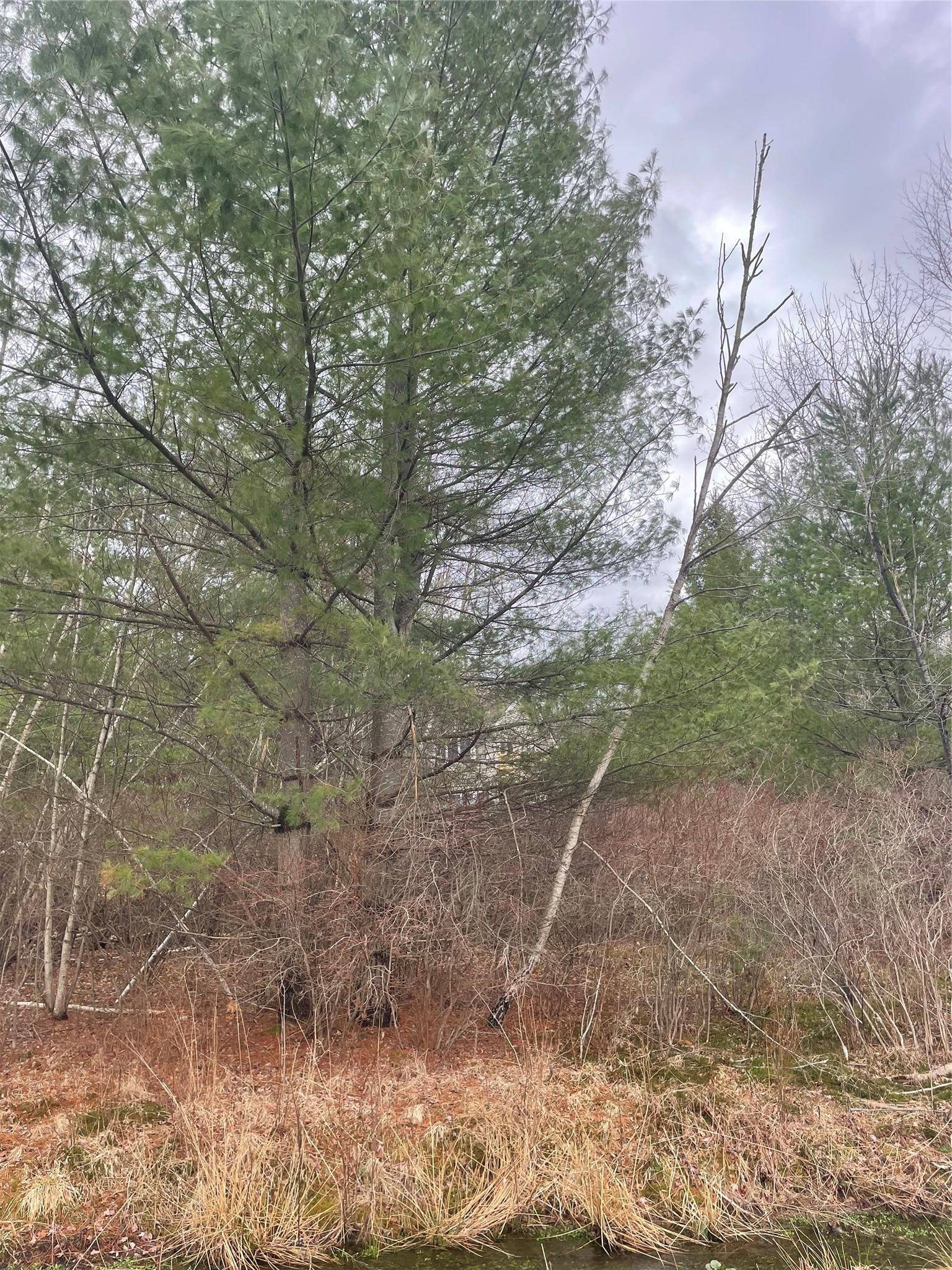 Swan Lake, NY 12783,39 Birch LN
