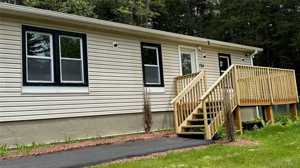 734 Cooley RD, Parksville, NY 12768