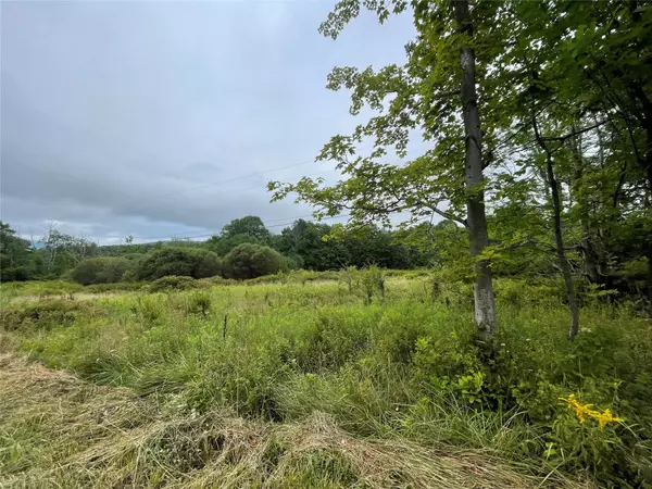 Fleischmanns, NY 12430,Basil Todd RD