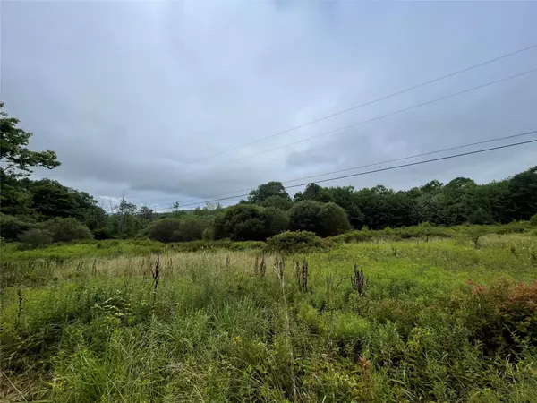 Fleischmanns, NY 12430,Basil Todd RD