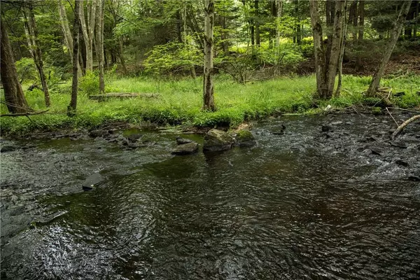 Bethel, NY 12720,Lot 2 Chapin Trail