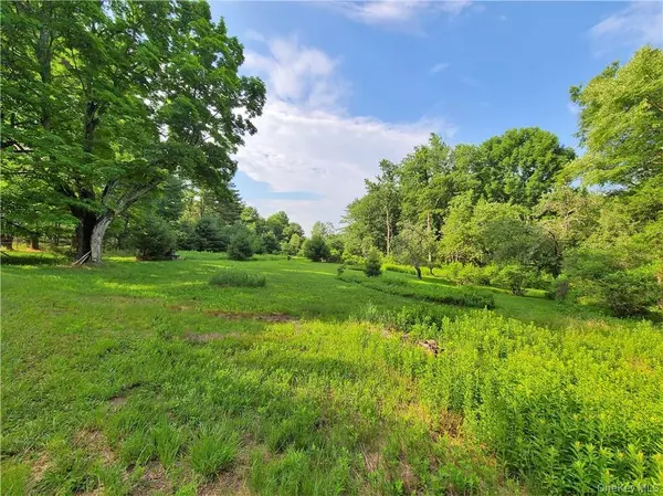 White Lake, NY 12786,TBD Mitchel RD