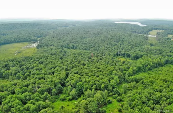 White Lake, NY 12786,TBD Mitchel RD