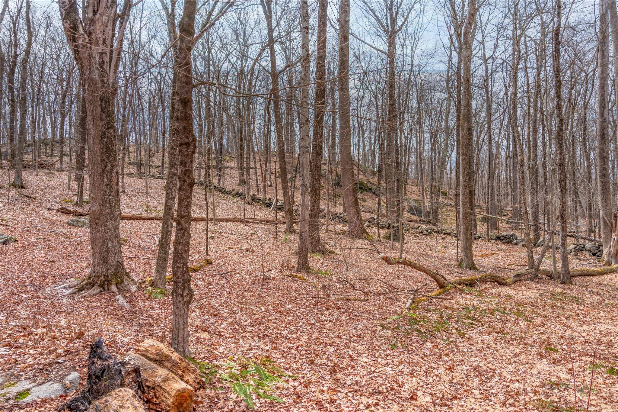 Pound Ridge, NY 10576,22 Joshua Hobby LN