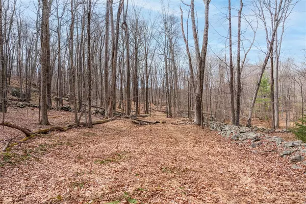 Pound Ridge, NY 10576,22 Joshua Hobby LN