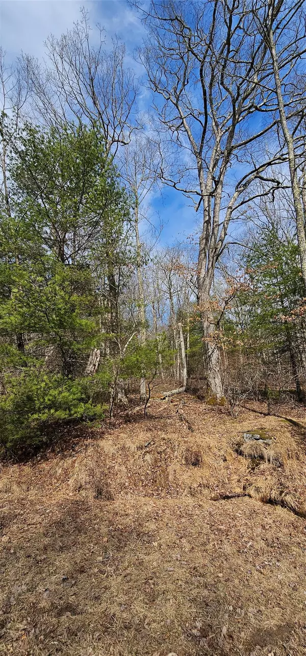 Barryville, NY 12719,Lot 20.22 Woods RD