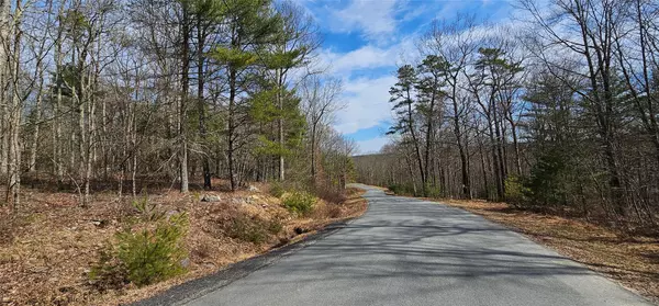 Barryville, NY 12719,Lot 20.22 Woods RD