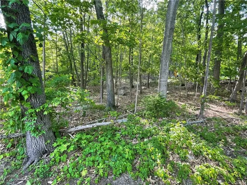 75 Birch Paper TRL, Carmel, NY 10512
