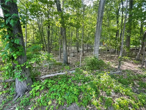 75 Birch Paper TRL, Carmel, NY 10512