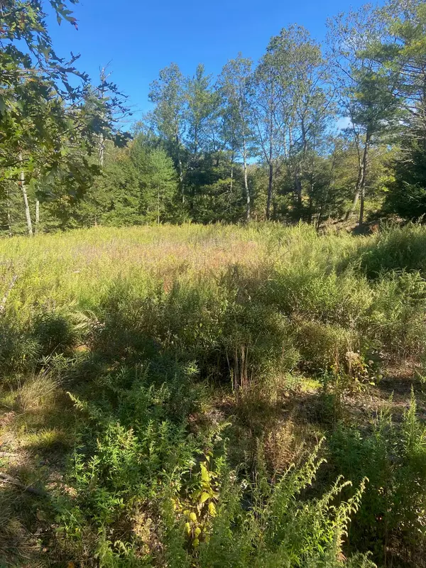 Saugerties, NY 12477,736-738 Manorville