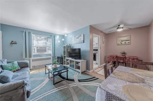 Queens Village, NY 11427,83-06 229th ST #Lower