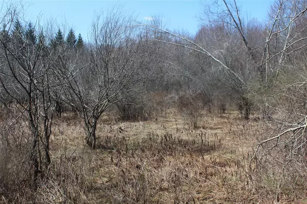 Swan Lake, NY 12783,927-943 Briscoe RD