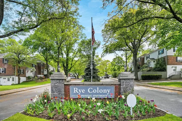 3 Peck AVE #313A, Rye, NY 10580