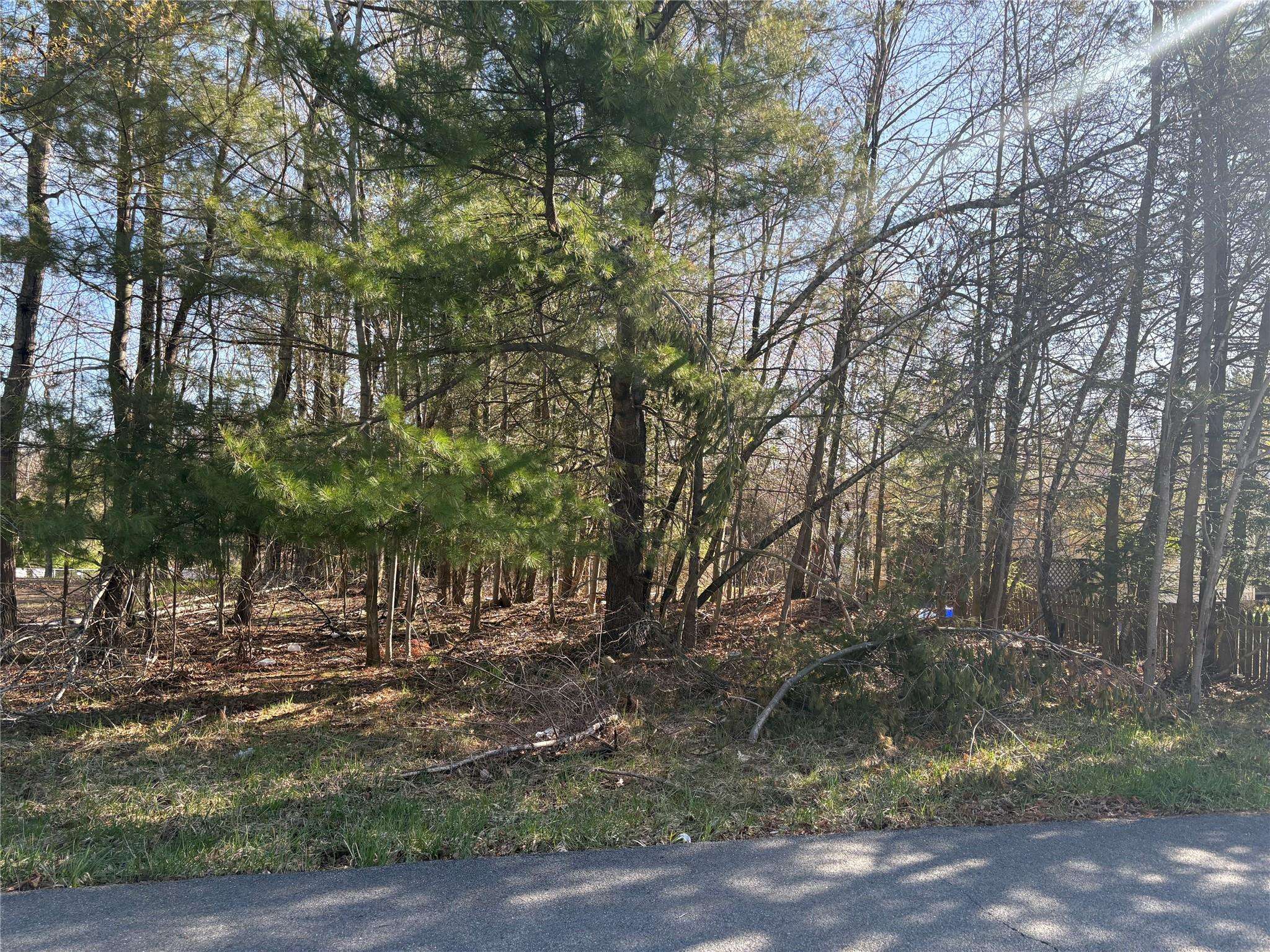 Woodcliff AVE, Monticello, NY 12701