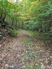 235 Mt. Zion Road, Marlboro, NY