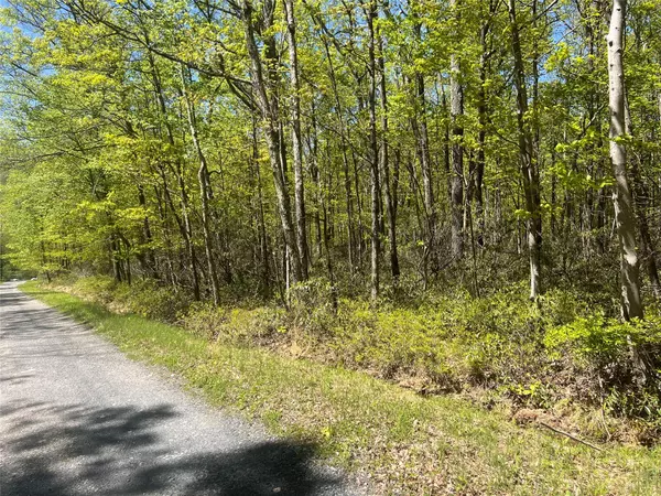 Pine Bush, NY 12566,Schneller LN
