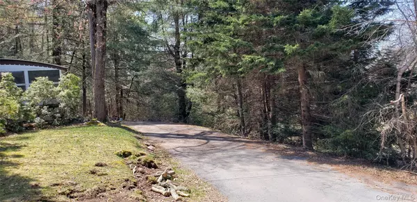 Glen Wild, NY 12738,84 Elliott RD