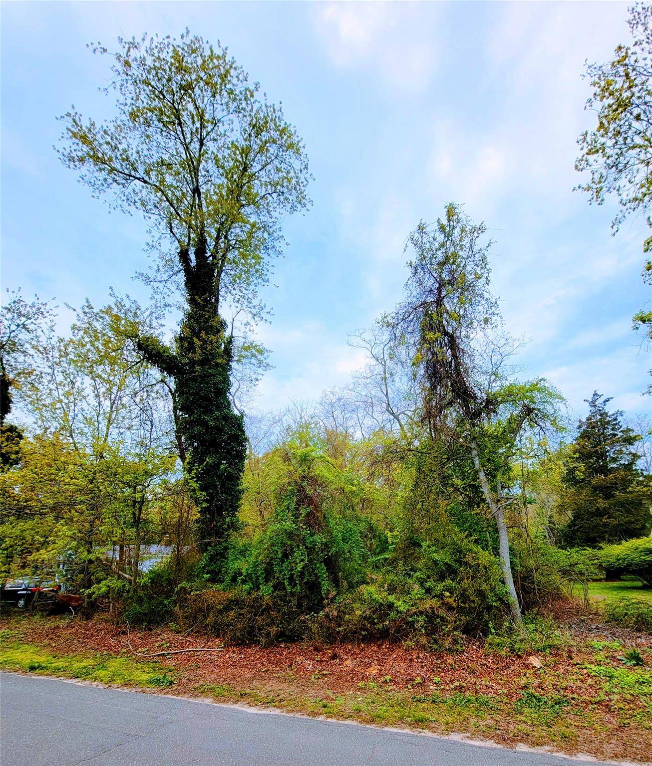 Cutchogue, NY 11935,675 Pine Tree RD