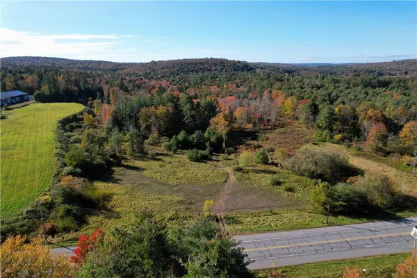 Monticello, NY 12701,#TBD NYS Route 17B