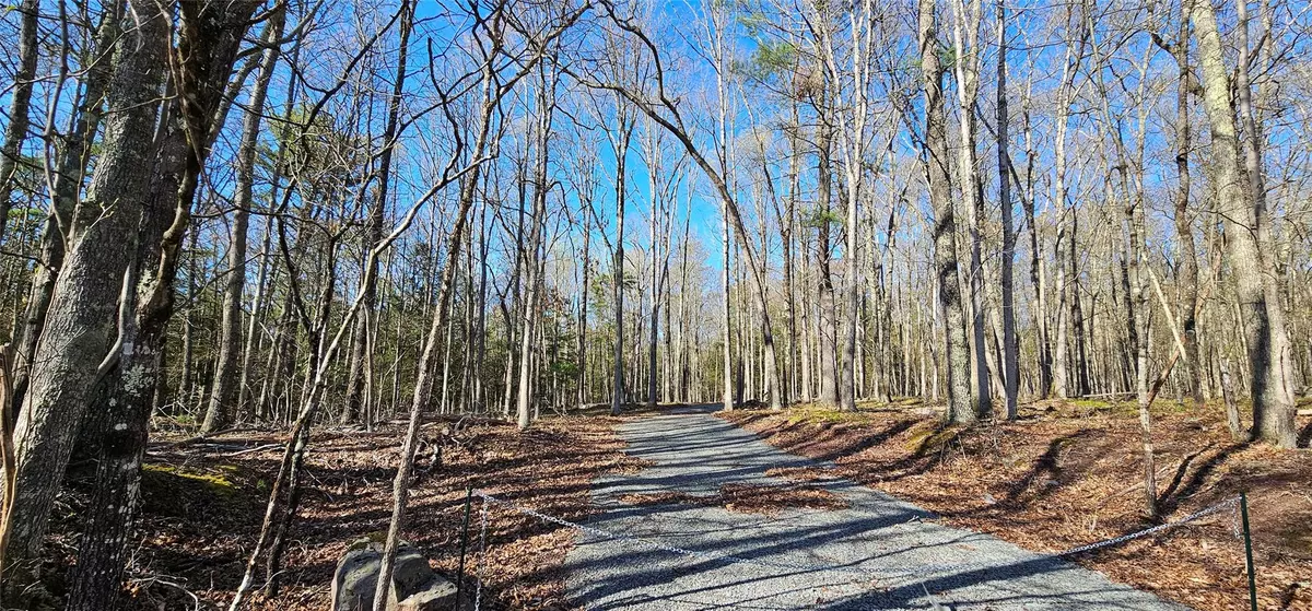 Narrowsburg, NY 12764,Lot 85 Perry Pond Road