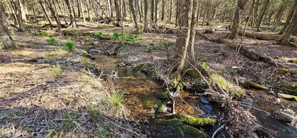 Narrowsburg, NY 12764,Lot 85 Perry Pond Road