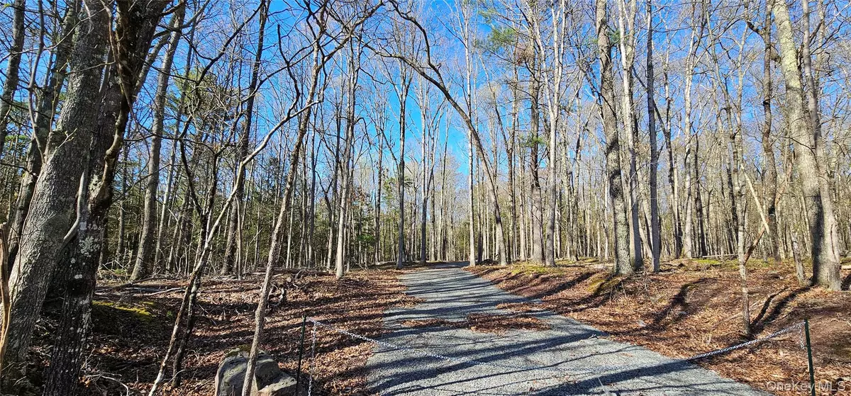 Narrowsburg, NY 12764,Lot 85 Perry Pond Road