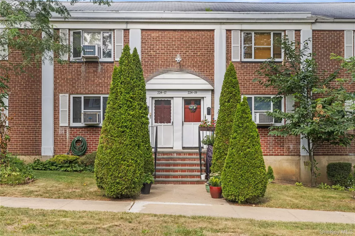 Queens Village, NY 11427,224-17 Manor RD #LOWER