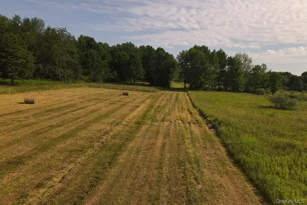 Callicoon, NY,627 Beechwoods RD