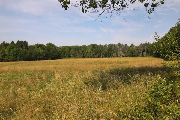 Callicoon, NY,627 Beechwoods RD