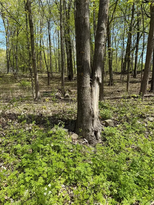 Esopus, NY 12493,120 Floyd Ackert RD