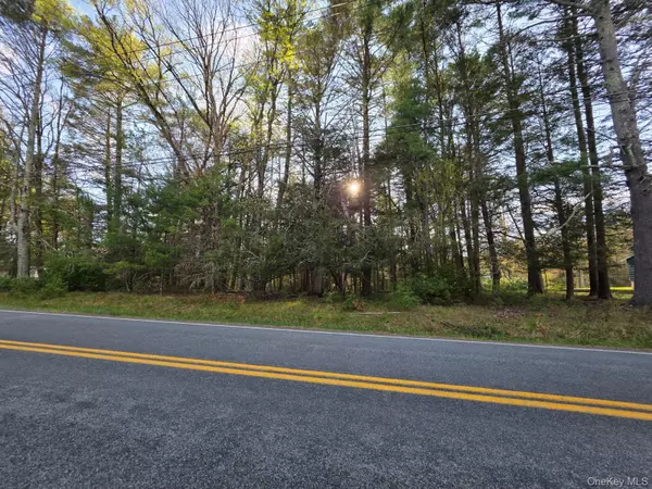 Yulan-Barryville RD,  Barryville,  NY 12719